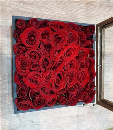 گل ترنم پلاس