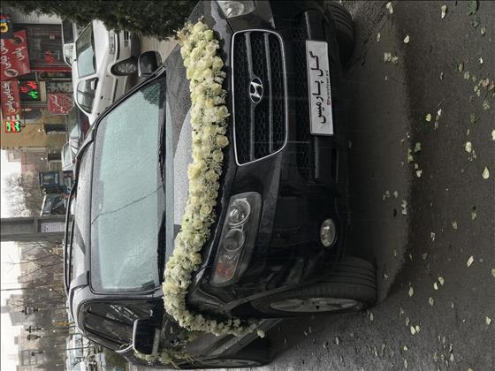 گل پارمیس گل پارمیس