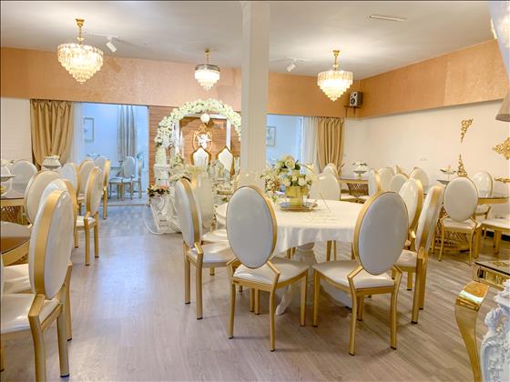 سالن عقد شاخه نبات سالن عقد شاخه نبات