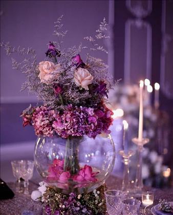 تشریفات Elegant Wedding