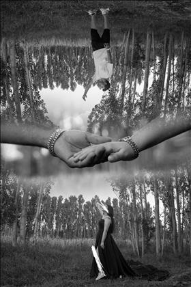 مرکز عکس و فیلم ویلو