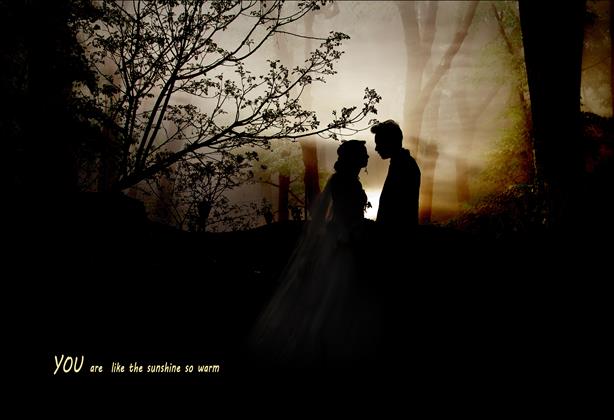 استودیو شارین