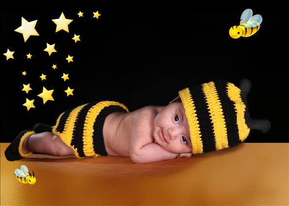 استودیو عکاسی فردین استودیو عکاسی فردین