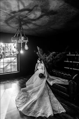 گروه هنری آرتا تیم