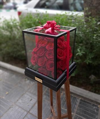 گل و گیاه باماگل