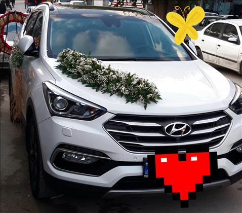 گلسرای گل رز