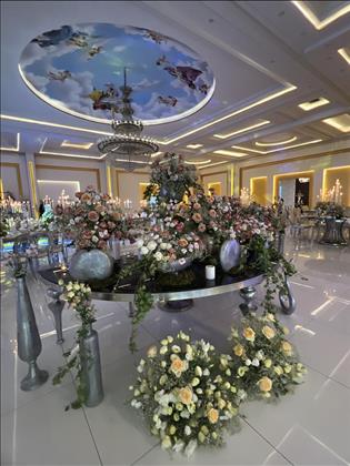 باغ و تشریفات آنیسا