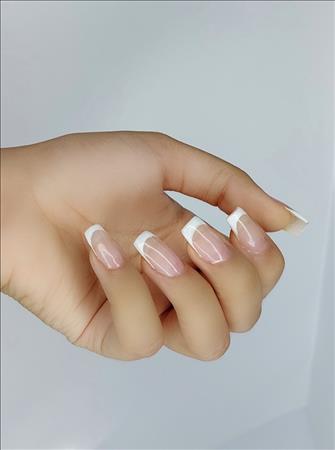شیده