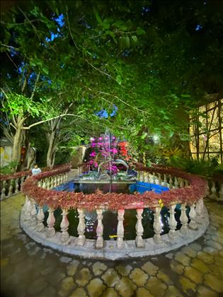 تالار سی دا