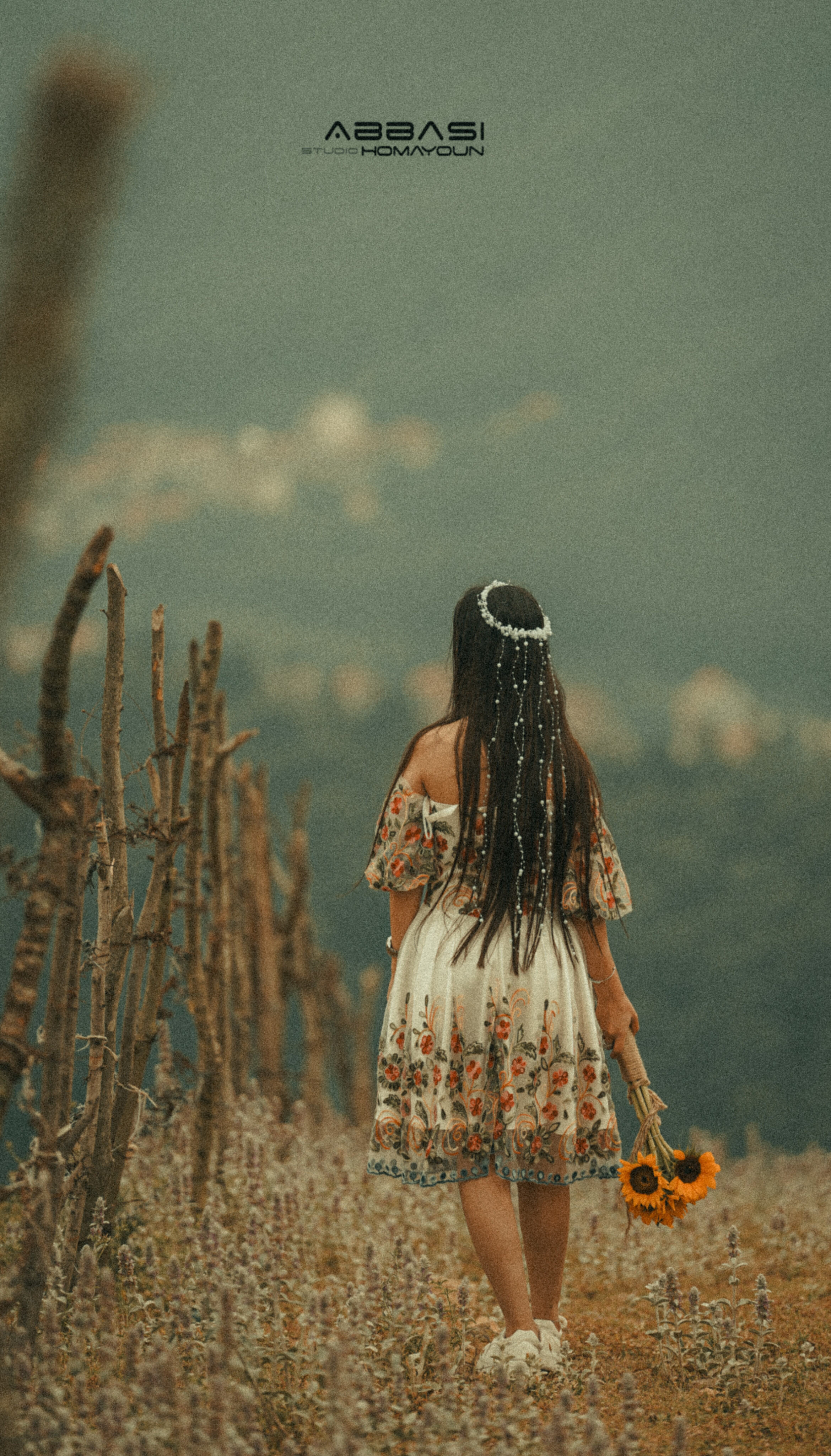 عمارت استودیو همایون عباسی عمارت استودیو همایون عباسی