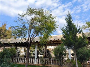 عمارت کاشانک در تهران