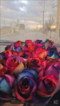 گلسرای دالان بهشت