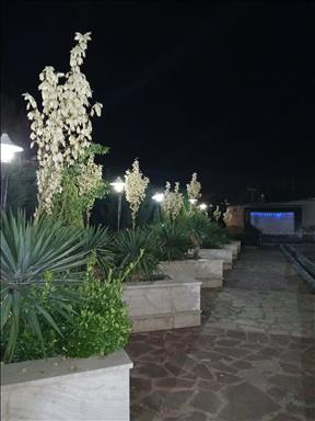 باغ عروسی مشهد