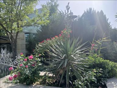 باغسرای ملک سلیمان 4