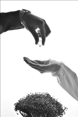 عکس عروس مشهد