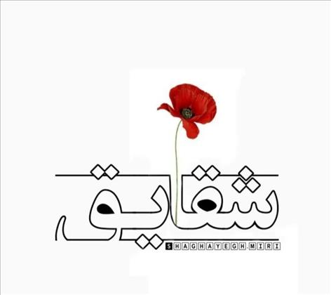 مجموعه زیبایی شقایق میری مجموعه زیبایی شقایق میری