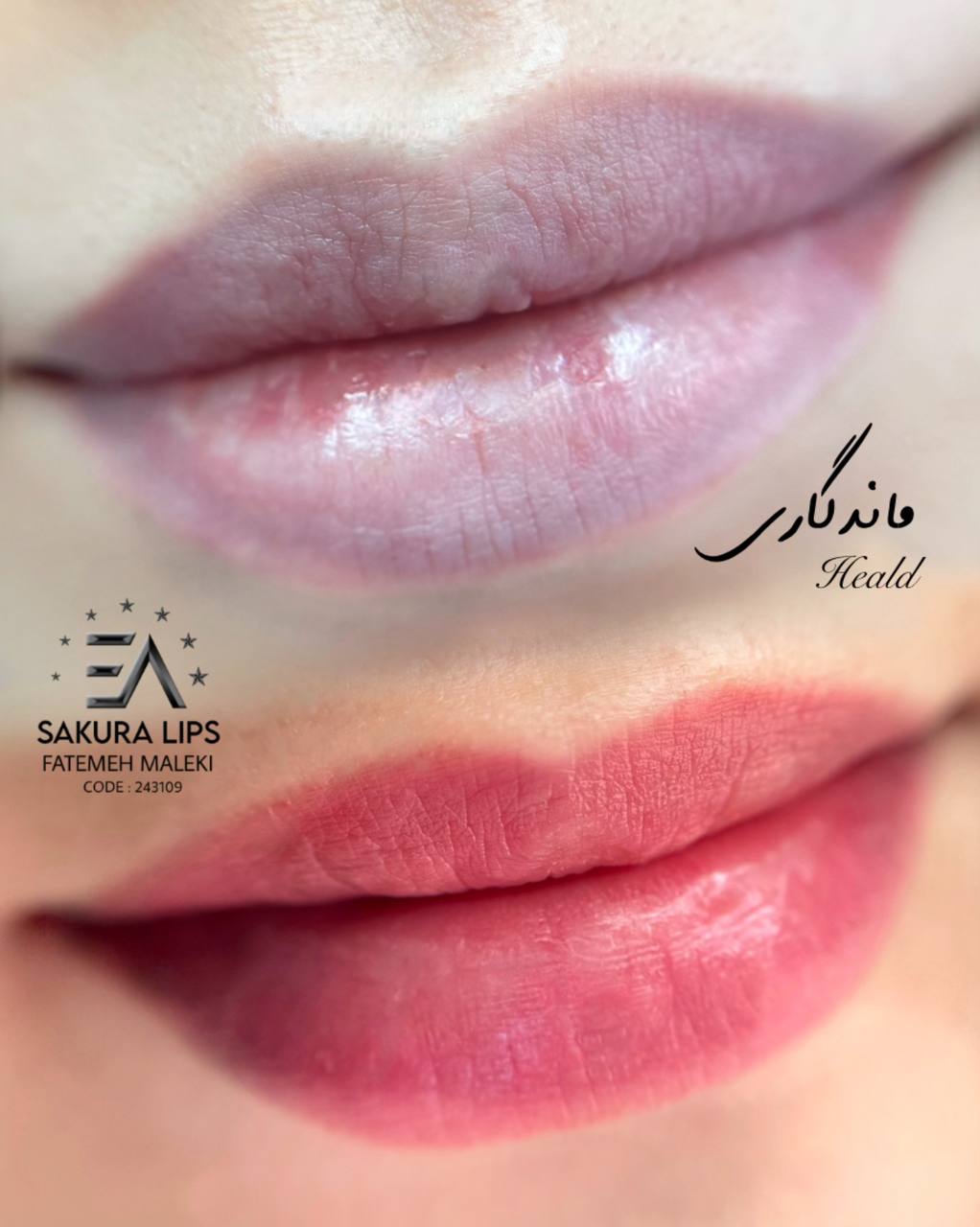 آرایش دائم فاطمه مالکی 6 آرایش دائم فاطمه مالکی 6