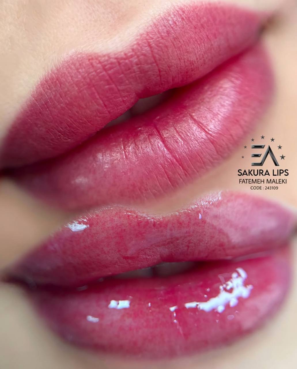 آرایش دائم فاطمه مالکی 7 آرایش دائم فاطمه مالکی 7