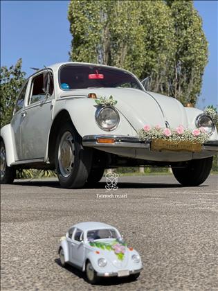 تشریفات خودرو فاطمه رضایی