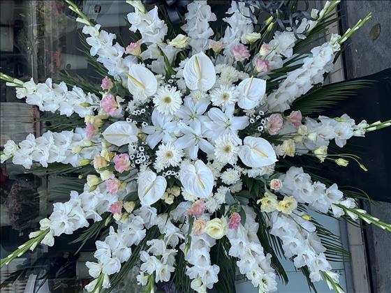 گلفروشی گلبرگ