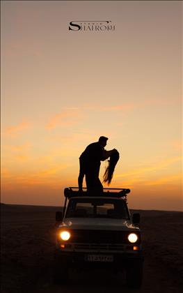 آتلیه عروس شاهرخ