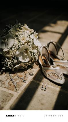 استودیو نیلوفر بیگی