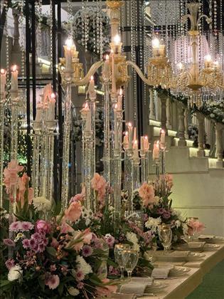 باغ تشریفات ویرا