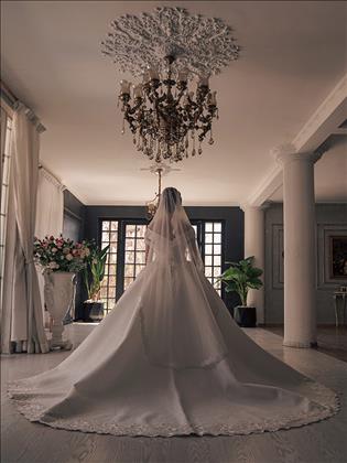 الفا استودیو