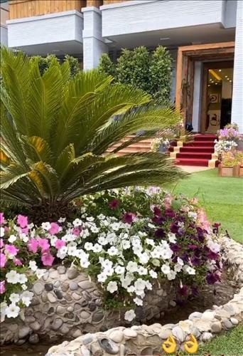 رویال وی ای پی 