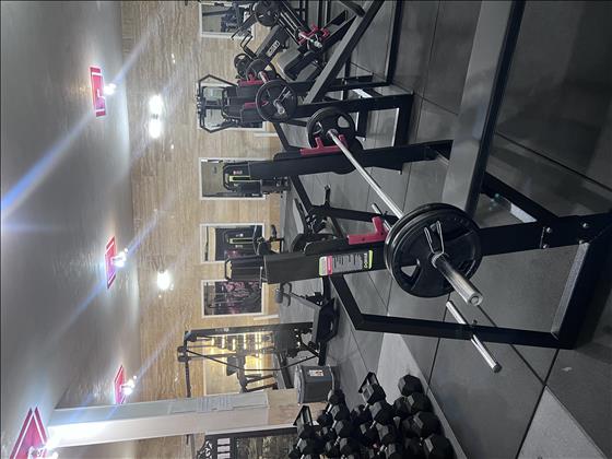 باشگاه نیک نقش