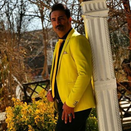 دیجی بروبکس 031 دیجی بروبکس 031