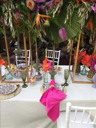 باغ و تشریفات آبتین 