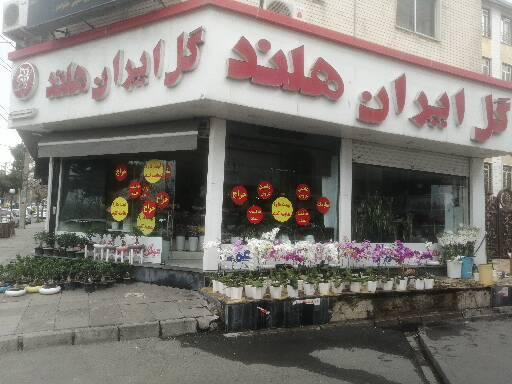 فروشگاه گل ایران هلند 