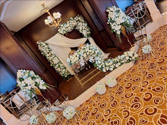 پردیس گل  حامد