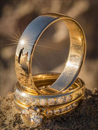 آتلیه تصویرسازان  شفیعی