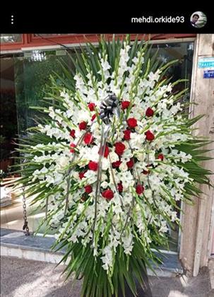 گل ارکیده گل ارکیده