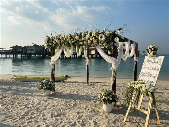 گلفروشی خاک دامون گلفروشی خاک دامون