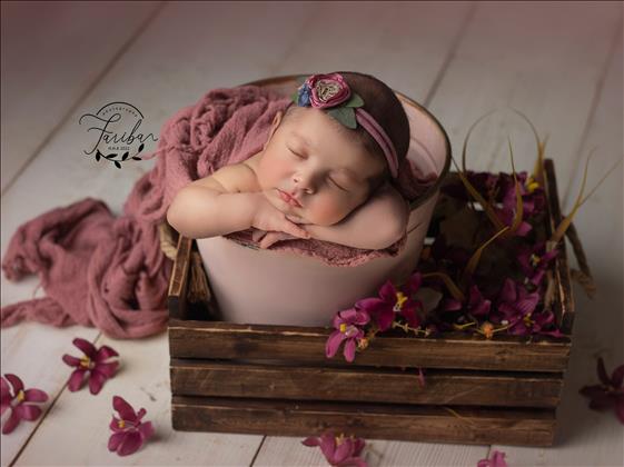 آتلیه فریبا آتلیه فریبا