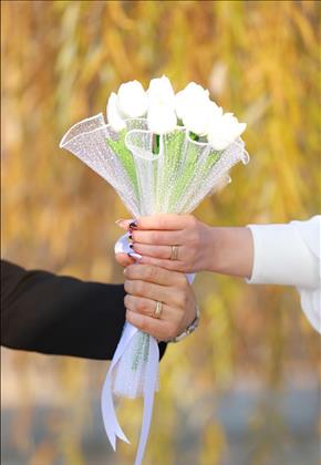 وان استودیو 