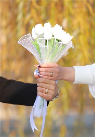 وان استودیو 