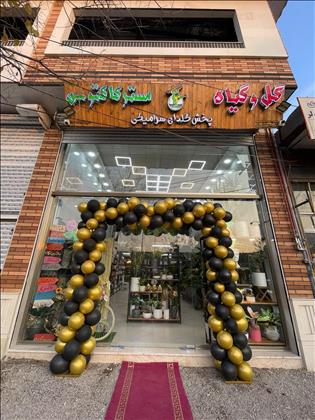 گلفروشی مسترفلاور