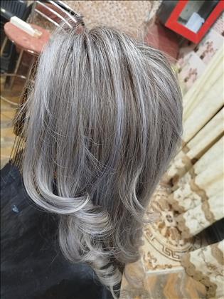 گلشیفته  گلشیفته