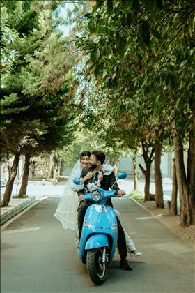 مانل استودیو  مانل استودیو