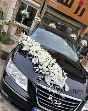 تشریفات مجالس فرخی 