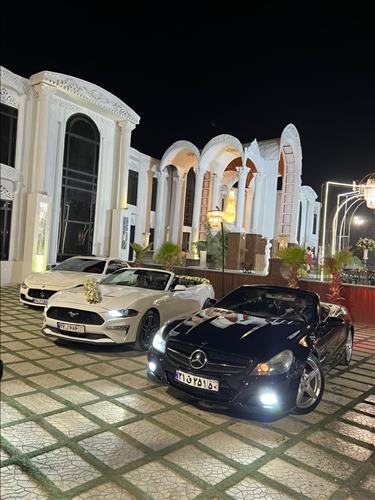 باغ عمارت 133