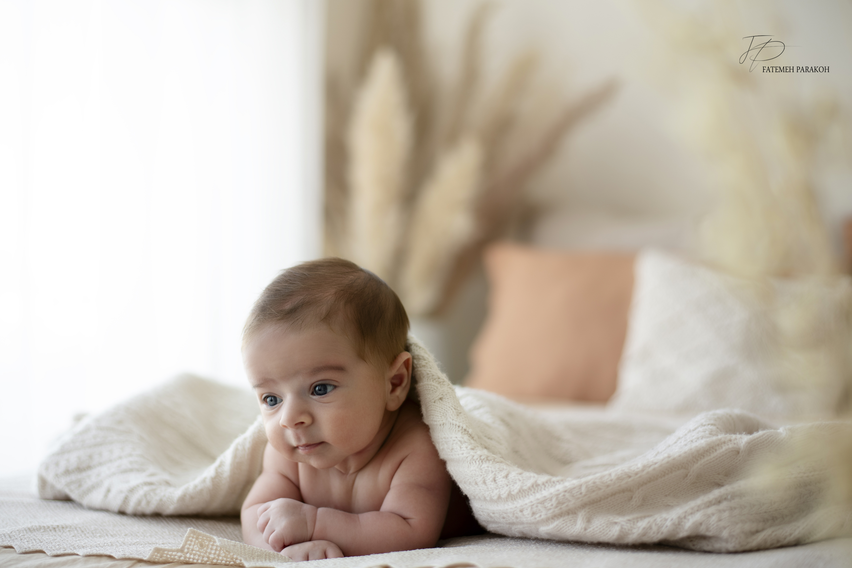 تشریفات تولد کودک پراکوه مشهد تشریفات تولد کودک پراکوه مشهد