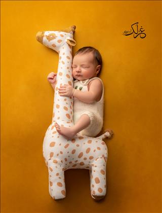 غزلک استودیو