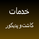 خدمات پدیکور خدمات پدیکور