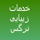 سالن زیبایی نرگس نادری سالن زیبایی نرگس نادری