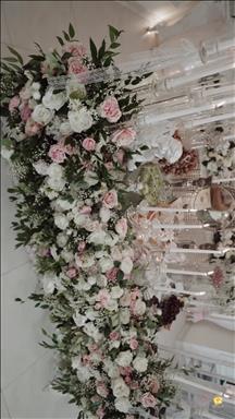 سالن عقد مستانه 4